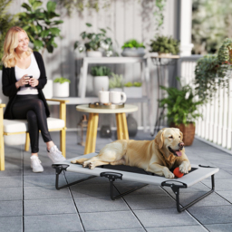 PawHut Portable Raised Dog Bed, Elevated Pet Cot with Breathable Mesh for Indoor Outdoor, for Large Dogs, Light Grey - thumbnail 2