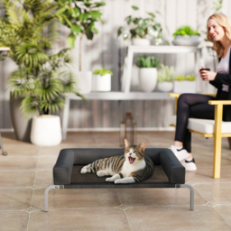 PawHut Elevated Dog Bed with Removable Bolsters, Raised Dog Bed for Small Breeds, Portable Indoor & Outdoor Pet Cots, Black - thumbnail 9