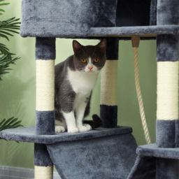 PawHut 206cm Cat Tree, Multi-Level Cat Tower with Scratching Posts and Board, Beds, Condos, Platforms, Toy Balls, Dark Grey - thumbnail 8