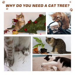 PawHut Multi-Level Cat Tree Tower Activity Center Climbing Stand Kitten House Furniture with Scratching Posts Condo Perch Plush Cushion Grey - thumbnail 6