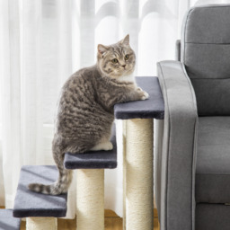 Pawhut Pet Stairs 4 Steps Dog Cat Little Older Animal Climb Ladder Navy Blue - thumbnail 9
