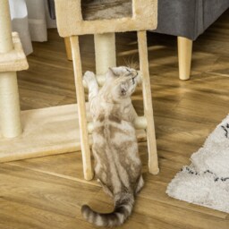 PawHut Cat Tree with Scratching Post, Hammock, Condo, Basket, Ladder Activity Centre for Kittens, 98 cm, Beige - Aosom UK - thumbnail 8