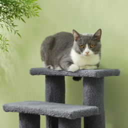 PawHut Pet Steps, Portable Stairs for Bed Access, Suitable for Cats & Older Animals, 63.5x43x60cm, Grey - Aosom UK - thumbnail 8