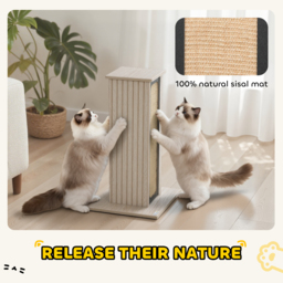 PawHut 63cm Cat Scratching Post, Cat Scratcher with Replaceable Scratching Board, Top Perch, Sisal Scratch Mat, Oak - thumbnail 6