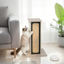 PawHut 63cm Cat Scratching Post, Cat Scratcher with Replaceable Scratching Board, Top Perch, Sisal Scratch Mat, Oak - thumbnail 2