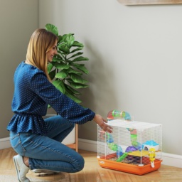 PawHut 2 Tier Hamster Cage, Gerbil Cage with Handle, Exercise Wheels, Tunnel, Water Bottle, Dishes, Ladder, for Dwarf - thumbnail 9