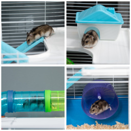 PawHut Large Hamster Cage, 5-Level Gerbil Haven, Small Rodent House, Tunnel Tube System, with Water Bottle, Exercise Wheel, Ramps, 59x36x 69 cm Blue - thumbnail 8