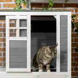 PawHut Wooden Catio Cat Outdoor Enclosure, Cat Cage with Waterproof Roof, Platforms, for Multiple Cats, White - Aosom UK - thumbnail 9