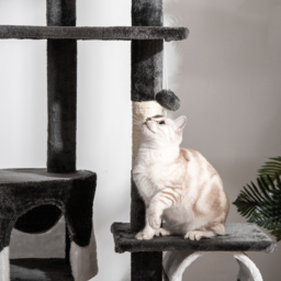 Pawhut Adjustable Cat Tree Condo, Kitten Playhouse with Scratching Posts, Fun House, Grey & White - thumbnail 8