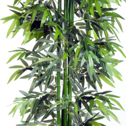 Outsunny 6ft Artificial Bamboo Tree Plant Greenary in A Pot for Home Office Planter 1.8M - thumbnail 9