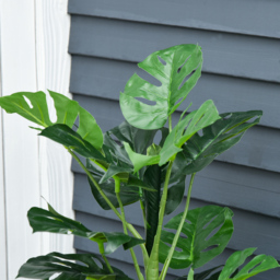 Outsunny 100cm/3.3FT Artificial Monstera Tree, Decorative Cheese Plant 21 Leaves w/ Nursery Pot, Fake Tropical Palm Tree, Set of 2 - thumbnail 8