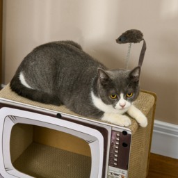 PawHut TV-Shaped Scratching Board with Scratcher, Catnip, Toy Rat, Cat Scratcher for Indoor Cats, 43 x 23 x 32.5cm - Aosom UK - thumbnail 8