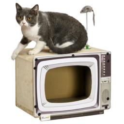 PawHut TV-Shaped Scratching Board with Scratcher, Catnip, Toy Rat, Cat Scratcher for Indoor Cats, 43 x 23 x 32.5cm - Aosom UK