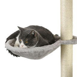 PawHut 4-Piece Cat Wall Furniture, Grey - Aosom UK - thumbnail 8