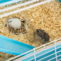 PawHut Hamster Cage w/ Water Bottle, Exercise Wheel, Tubes, Ramps - Light Blue - thumbnail 8