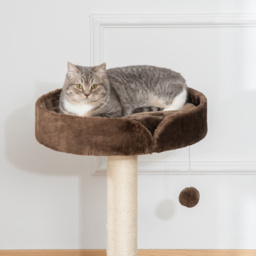 PawHut Compact Cat Tree, Sisal Scratching Post, Soft Bed, Play Toy, for Kittens, Brown, 45x45x70 cm - Aosom UK - thumbnail 8