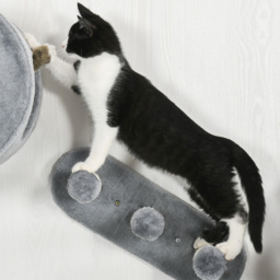 PawHut 4PCs Wall Mounted Cat Tree Cat Wall Furniture with Platforms, Steps, Scratching Post, Perch, Cat Condo for Indoor Cat - Grey - thumbnail 9