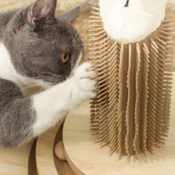 PawHut Scratching Post, 5 in 1 Cat Post with Sisal Post, Track Ball Toy, Self Grooming Brush, Hanging Toy Ball, Feather, Oak - Aosom UK - thumbnail 8