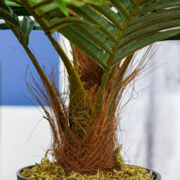 Outsunny 60cm Fake Palm Tree, Indoor/Outdoor Decorative Plant with 8 Leaves and Nursery Pot - Aosom UK - thumbnail 9