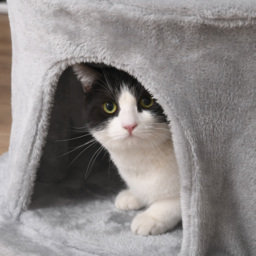 PawHut Cat Tree Multi-Level, Kitten Tower Activity Centre with Scratching Post, Condo, Hanging Ropes & Plush Perches, Grey - thumbnail 8