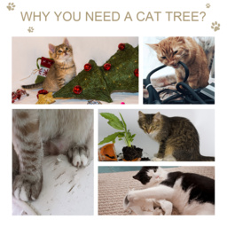 PawHut Cat Tree Multi-Level, Kitten Tower Activity Centre with Scratching Post, Condo, Hanging Ropes & Plush Perches, Grey - thumbnail 6
