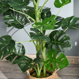 Outsunny Artificial Monstera Delight: Lifelike Cheese Plant w/ 21 Lush Leaves, Nursery Pot for Indoor/Outdoor Tropical Flair, Verdant Green - Aosom UK - thumbnail 9