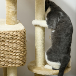 PawHut 95cm Cat Tree Tower for Indoor Cats, with Scratching Post, Cat House, Toy Ball, Platform - Beige - thumbnail 7