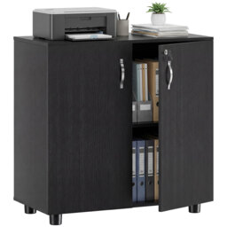 Vinsetto Black Cabinet Lockable File Cabinet with 2-Tier & Anti-Slip Feet, Storage for Office Equipment, 80 x 80 x 40cm - Aosom UK