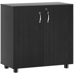Vinsetto Black Cabinet Lockable File Cabinet with 2-Tier & Anti-Slip Feet, Storage for Office Equipment, 80 x 80 x 40cm - Aosom UK - thumbnail 1