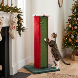 PawHut Cat Scratching Post for Indoor Cats, 81cm Tall Cat Scratcher with Sisal Rope, Hanging Bell Toy, Stable Base, Green & Red - thumbnail 8