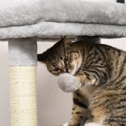 PawHut Cat Tree Tower with Sisal Scratching Posts, Kitten Climbing Activity Centre, Massage Toy Included, 48 x 48 x 80cm, Light Grey - Aosom UK - thumbnail 8