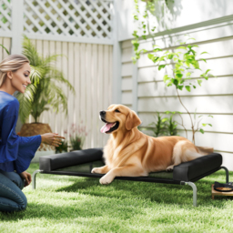 PawHut Elevated Dog Bed with Removable Bolsters, Raised Dog Bed for Large Breeds, Portable Indoor & Outdoor Pet Cots, Black - thumbnail 2
