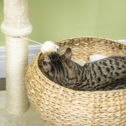 PawHut 72cm Cat Tree Kitten Tower, with Sisal Scratching Post, Two Beds, Toy Ball - thumbnail 8
