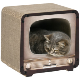 PawHut 2 in 1 TV Shape Cat Scratching Board House with Catnip, for Indoor Cats, Brown - Aosom UK