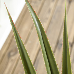 HOMCOM Artificial Agave Plants: Faux Succulent Set of 2 in Pots for Indoor/Outdoor Décor, Verdant Green - Aosom UK - thumbnail 9