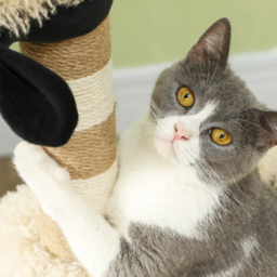 PawHut Cat Tree Sheep Design, 98 cm Multi-Level Cat Tower with Scratching Posts, Tunnel & Play Ball, Light Brown - thumbnail 9