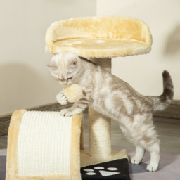 PawHut Cat Scratching Tree, Post with Activity Centre, Climber, Hanging Ball, Plush Cover, Beige - Aosom UK - thumbnail 8