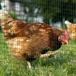 Pawhut PVC Coated Welded Wire Mesh Fencing Chicken Poultry Aviary Fence Run Hutch Pet Rabbit 30m Dark Green - thumbnail 2