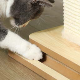 PawHut 3 in 1 Cat Scratching Post, 67cm Cat Scratcher w/ Track Ball Toy, Oak - Aosom UK - thumbnail 9