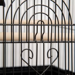 PawHut Metal Bird Cage, Portable with Swing Perch & Food Tray for Finch, Canary, Budgie, 50.5x40x63cm, Black - Aosom UK - thumbnail 9