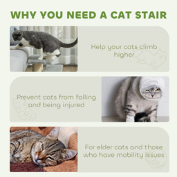 PawHut Pet Stairs 3-step Pet Ladder Cat dog Stairs Climb Ladder Cat Tree, Grey - thumbnail 7