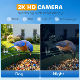 PawHut Smart Bird Feeder Camera 2K HD with AI Identifies 16,000+ Species, 2K HD Auto Capture Video, APP Instant Notifications - thumbnail 5