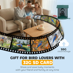 PawHut Smart Bird Feeder Camera 2K HD with AI Identifies 16,000+ Species, 2K HD Auto Capture Video, APP Instant Notifications - thumbnail 6
