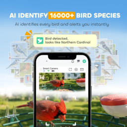 PawHut Smart Bird Feeder Camera 2K HD with AI Identifies 16,000+ Species, 2K HD Auto Capture Video, APP Instant Notifications - thumbnail 4