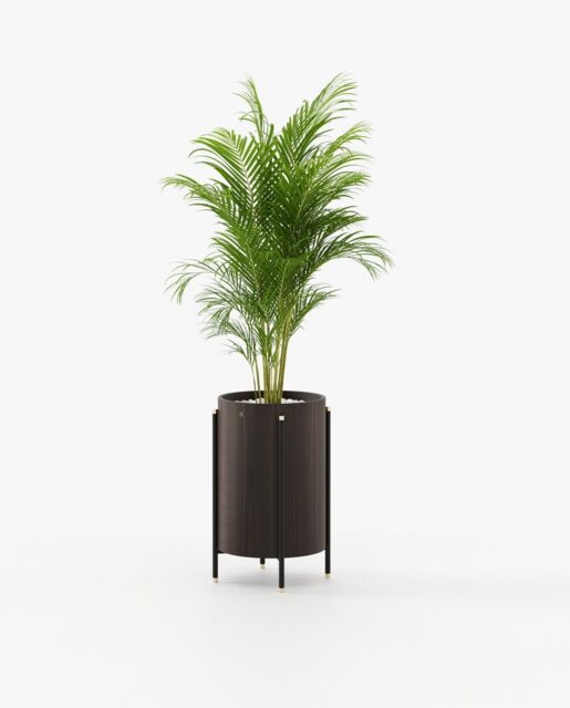 Laskasas ROSIE Planter & Pot Smoked Eucalyptus Veneer Matte