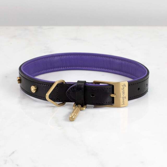 Buster + Punch RPA-02767 Hand Crafted - X Small  Dog Collar Black/Purple - Brass