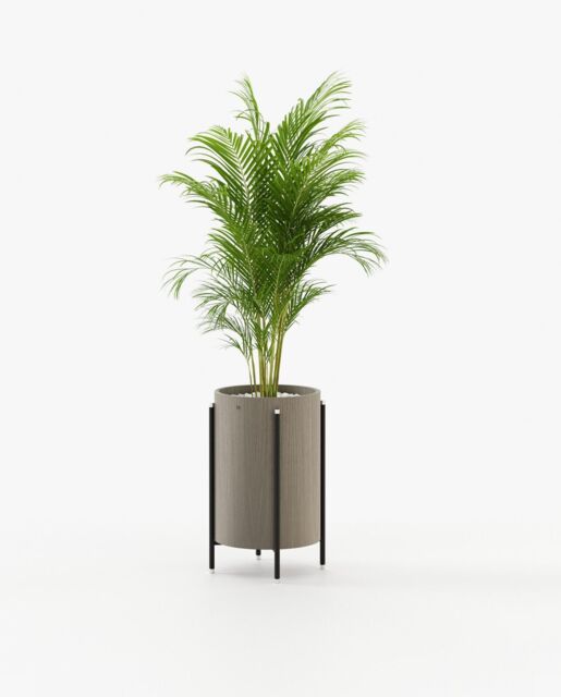 Laskasas ROSIE Planter & Pot Aged Oak Veneer Matte