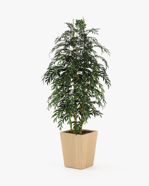 Laskasas POPPY Planter & Pot Oak Veneer Matte