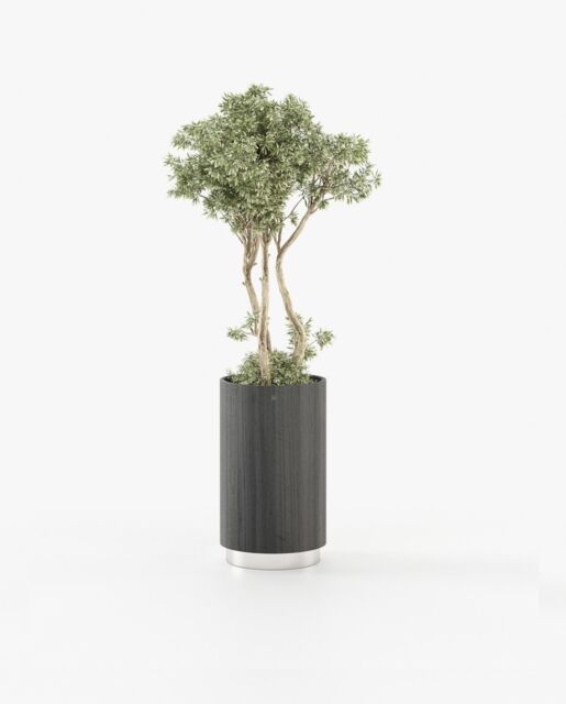 Laskasas GOLD Planter & Pot Grey Eucalyptus Veneer Matte