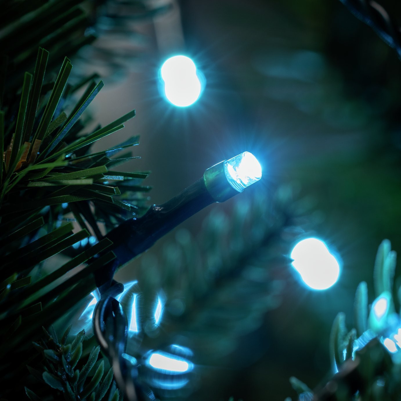 Habitat 480 Turquoise LED Christmas Tree Lights - image 1